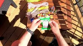 How to size your Begleri - Quantum Colliders 