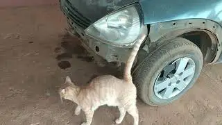 Troca do para-choque do Ford KA
