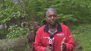 Keith Kountz shows us storm damage from his Hamden neighborhood