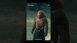 Roopa...he Roopa to tu aagyi...😅🐒💯#comedy #dream #monkey #youtubeshorts #monkeyvideo #money