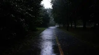 Heavy Rain on Forest Park Path 🌲 Relaxing Nature Sounds for Deep Sleep