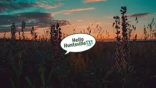 Good Morning Huntsville Episode 0226 - Stephanie Vallie, Magnolia Kennel - 3/5/2024