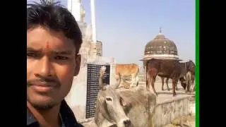 dehati comedy scene
