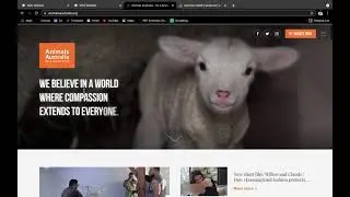 ACTvisim