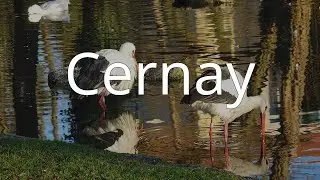Cernay