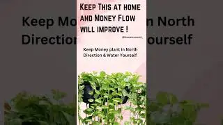 Do this to improve money flow at home #numerology #astrology #moneyflow #money #luck