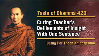 Curing Teacher&rsquo;s Defilements of Insight With One Sentence (42D) | Taste of Dhamma | Luang Por Thoon