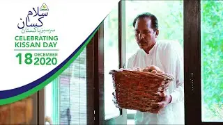 Thank you, Kissan! | Salam Kissan, Sarsabz Pakistan | Celebrating Kissan Day on 18th Dec