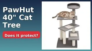 REVIEW (2025): PawHut 40