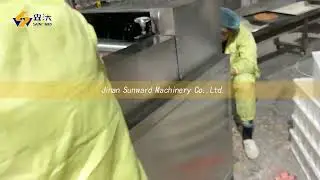 Jinan Sunward Double colors Bi-colors fried snack pellet making machine. 双色膨化机