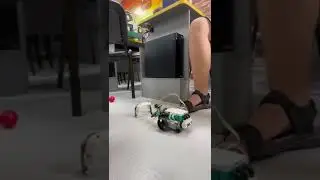 роботы 2