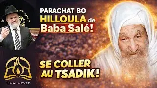 Rav Michaël Ifrah - 15 Bo - Se coller au Tsadik - Le chamin le plus rapide vers la brakha !