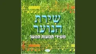 שוב יוצא הזמר