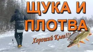 Зимняя рыбалка: Плотва на мормышку и Щука на жерлицы.
