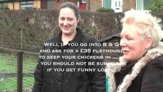 Lucky Hens Rescue - Wigan - a new life for Ex. Battery Hens/ Chickens