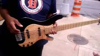 Brubaker NBP 5  String Custom Bass