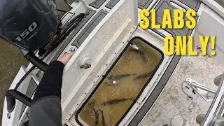 Winter Heatwave Crappie Fishing at Lake O&rsquo; the Pines &mdash; Had to Work for Every Bite