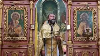 Проповедь протоиерея Иоанна Шимона в Неделю 6-ю по Пятидесятнице (04.08.2024)