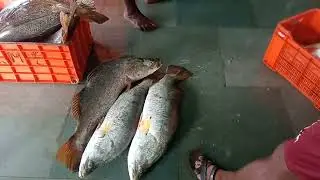 Freserganj fishing harbour