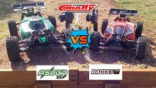 Hot lap race, who wins? Asuga vs Radix 6