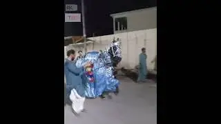 Zuljanah of Jamote Bargah Matiari