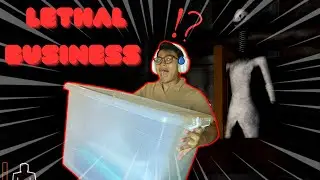 What is that, WHAT IS THAT! | Roblox Lethal Business