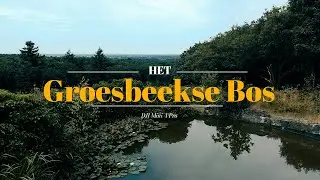 Groesbeekse Bos - DJI Mini 4 Pro