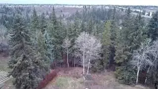 Ravine Lot in Southwest Edmonton