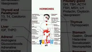 Hormones #nursinglecture #nursingeducation #viralshorts #nursingnotes
