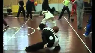 Мастер Шень Чжи, шар тайцзи (taiji qiu)