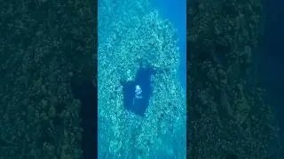 Heart shaped puka 🫶 #heart #underwater #freediver #freediving #ocean