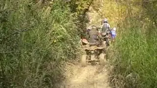 quad2