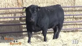 Reyes Russel Lot 149