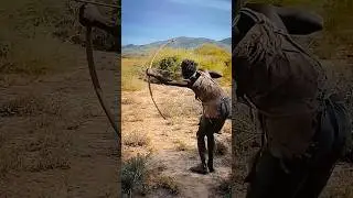 Apanhei um veado grande hoje! 🦌