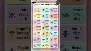 Spoken English Learning | Insects Names in English with Hindi Meaning | Daily Use Vocabulary