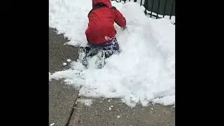 Надеюсь на снег! Снежный день.