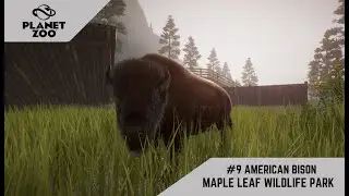 PLANET ZOO | MAPLE LEAF WILDLIFE PARK WALKTHROUGH | #9 AMERICAN BISON