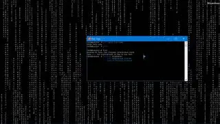 Coding Unix Ping Function