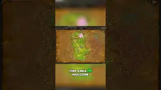 ОТКРОЙТЕ ДЛЯ СЕБЯ ЛУЧШЕГО низкоуровневого питомца охотника в WoW Classic! (ВАМ ЭТО НУЖНО!)