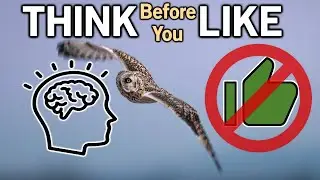 Think Before You Like!  Algorithms Don't Understand Intention