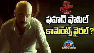 Allu Arjun Pushpa 2 4th Day Collection Vs Devara Vs Kalki Collections |