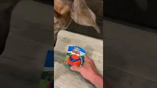 Chuckit! Ultra Ball and other Chuckit! Ball products - my dogs review - works for me