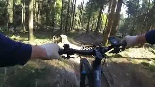Flowtrail Feldberg1 2024 09