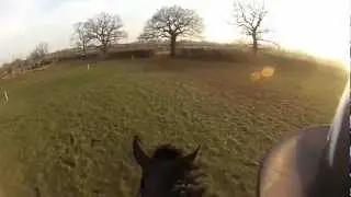 Aston-le-Walls XC phase with Samba - pearsoneventing.com