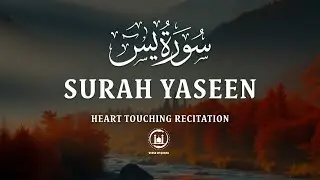 Surah Yaseen (Yasin) سورة يس | Relaxing Quran Will Touch Your Heart #surahyasin 018