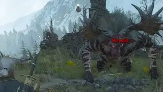 The Witcher 3 (Death March) Fiend Boss fight
