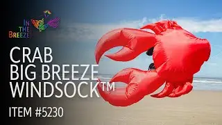 Crab Big Breeze Windsock | Wholesale Garden D&eacute;cor | In the Breeze