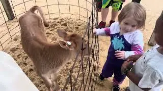 Simply Natural Creamery