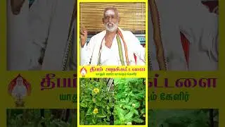 கரிசலாங்கண்ணி கஷாயத்தின் சிறப்புகள் #deepamtrust #vallalar #ytshorts