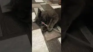нажить себе состояние🙂
